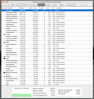 Moniteur d'acitivité Mémoire.png