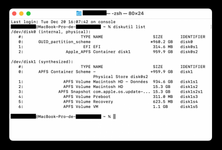 diskutil list.png