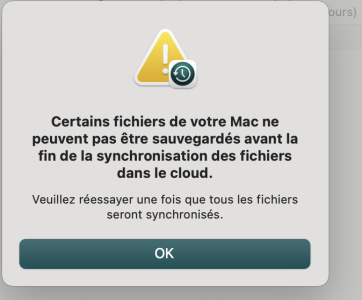 Capture d’écran 2023-11-13 à 14.52.09.png