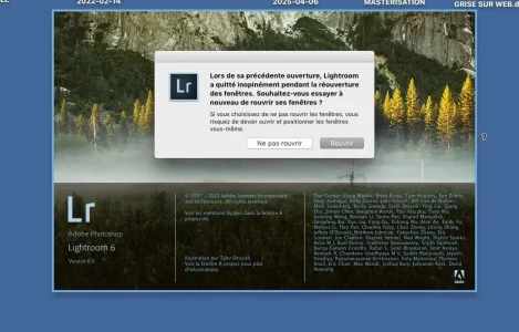 LR 6-6 BUG.webp