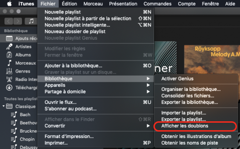 itunes_fichier_les doublons.png