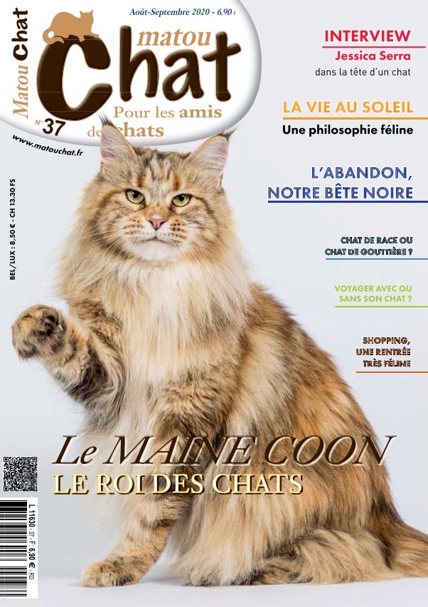 Matou-Chat-n-37.jpg