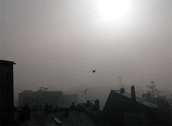 brouillard_02.jpg