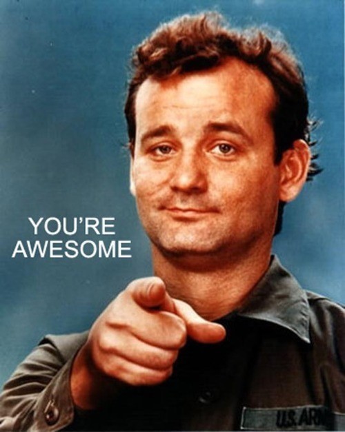 post-3890-Bill-Murray-Youre-awesome-85vL.jpeg