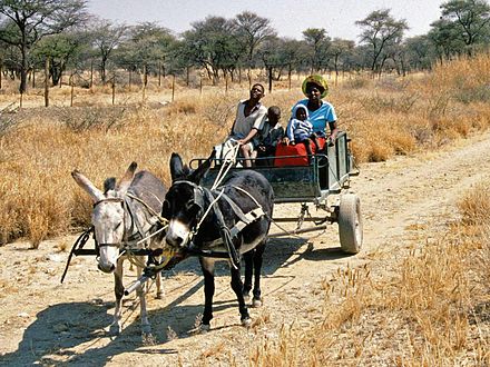 440px-Damara_People_Namibia.jpg