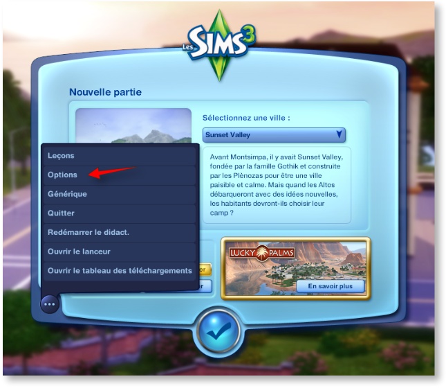 Sims3Options2.jpg